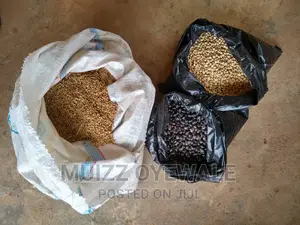 Livestock Pasture: Brachiaria Grass and Leguminous Seeds