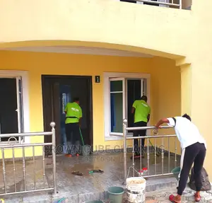 Cleaning House Cleaning Expert