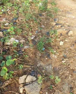 Land Selling Hot in A.Commercialized Area in Sagamu
