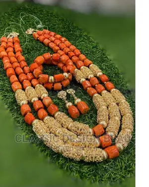 Coral Beautiful Beaded Necklace
