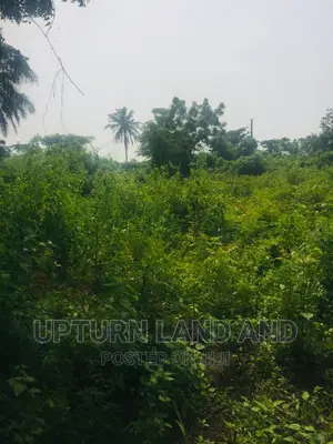 200 Acres of Land for Sale 3 Minutes Drive From Tarred Road