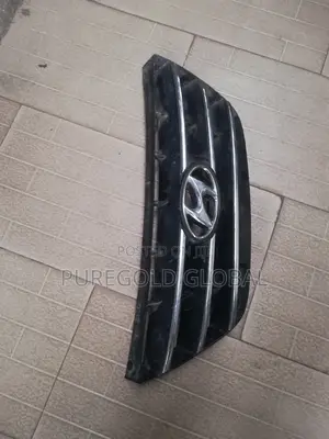09 Sonata Front Grille