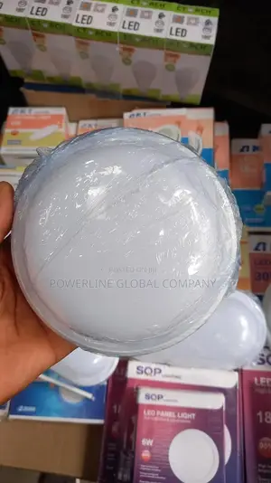 Ceiling Light for Homes/ Hotels/ Lounges/ Companies