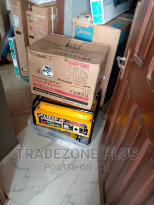 Effective Elepaq Constant Manual Generator-Sv5800