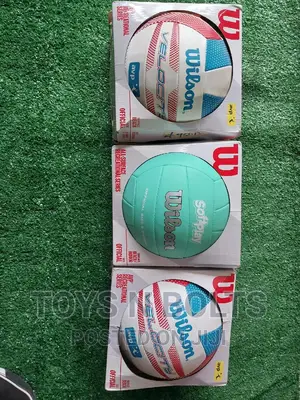 Wilson Beach Ball