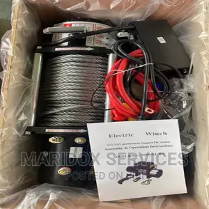 Car Electric Winch 12tons