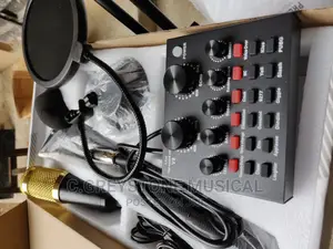 BM 800 With V8 Sound Card Studio Microphone