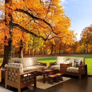 Real Wall and Ceiling Murals