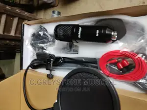 BM 800 Studio Mic......