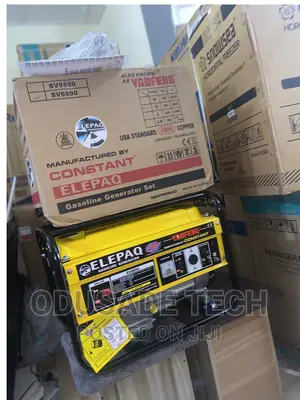 Durable 4.5KVA Elepaq Constant Manual Starter Generator