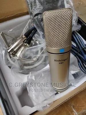 U87 Studio Mic 