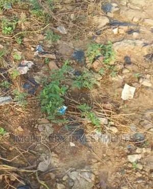 Very Large Spacious Land Selling Now at Sagamu