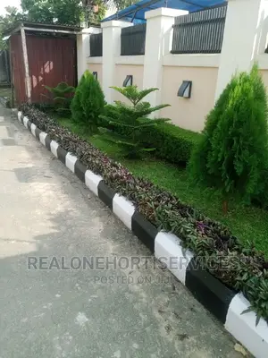 Flower, Herbs Garden Materials and Landacape Plants