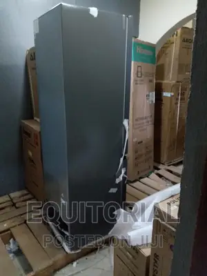 Hisense 264L Bottom Freezer Double Door Refrigerator