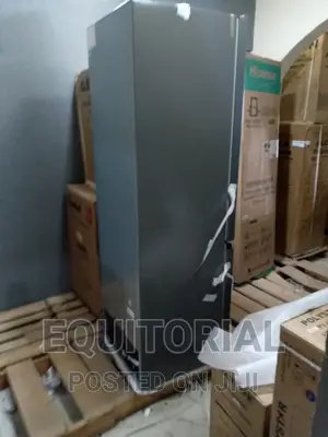 Hisense Fridge Rd-35dcb Bottom Mounted Double Door Abizot On