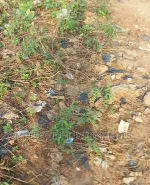 Large Industrial Land Selling Hot at Sagamu Express Way