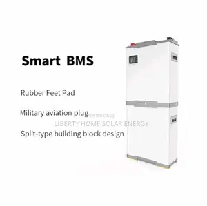 15kwh/48v Blue Carbon Lithium-Ion Battery