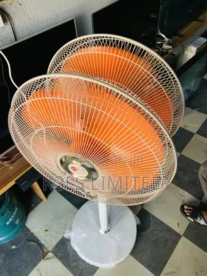 TM- LG Double Heads Stand Fan