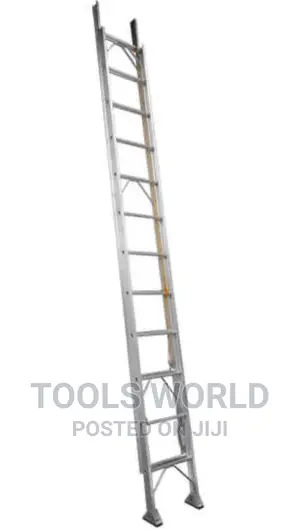 Long and Extendable Ladder 32 Steps 32ft