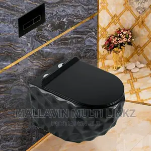 Black Wall Hung Wc England Standard