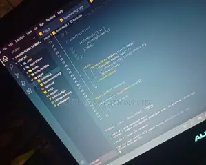 Mobile Native Developer Tutor/Class