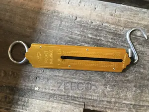 Hanging Scale by 50kg