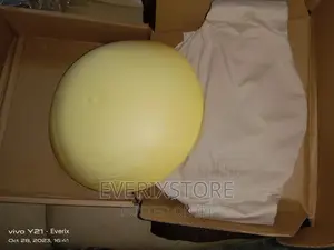 Fake Pregnancy