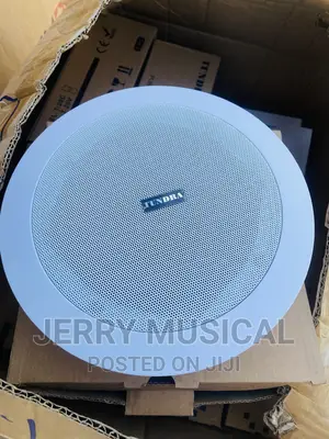 Tundra 20watts Crossover Ceiling Speakers