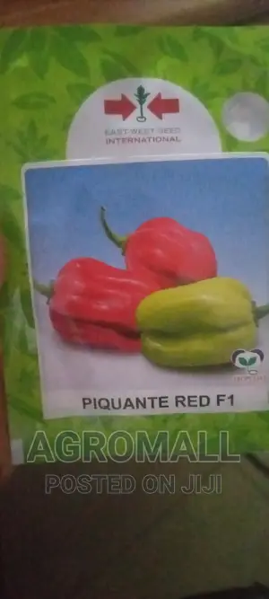 Habanero Hot Pepper