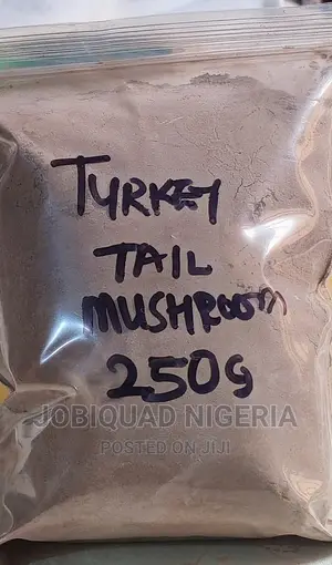 Turkey Tail Organic Mushroom Extract Powder 250g