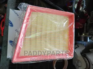 Ford Ecosport Air Filter
