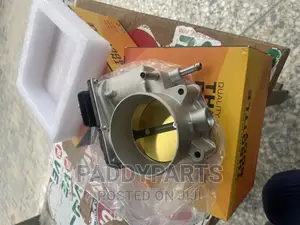 Lexus LX470 Throttle Body/Injector Mouth