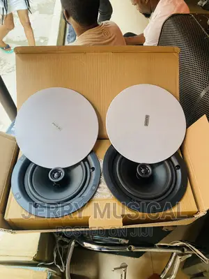 30watts Frameless Bluetooth Ceiling Speakers