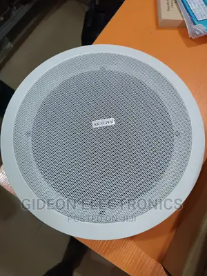 Celiing Speaker