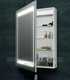 Stainless Led Mirror Cabinets
