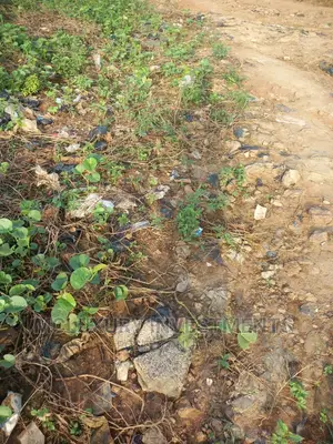 Well Situated And Portioned Land For Sale At Sagamu.