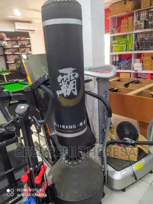 Standing Punching Bag