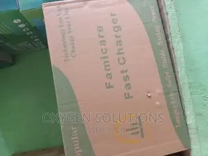 50ah Famicare Battery Charger
