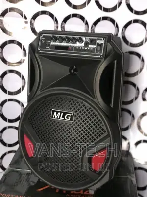 12inches PA System MLG