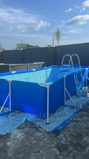 Swimming Pool With Ladder 15ft