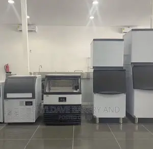 FAST Industrial 500kg Per 24H Ice Cube Maker (Multi-Purpose)