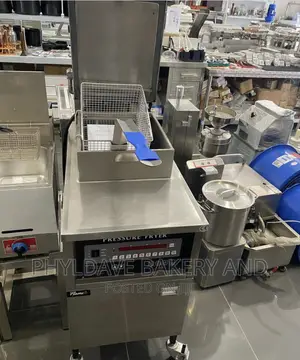 Industrial Standing Pressure Fryer