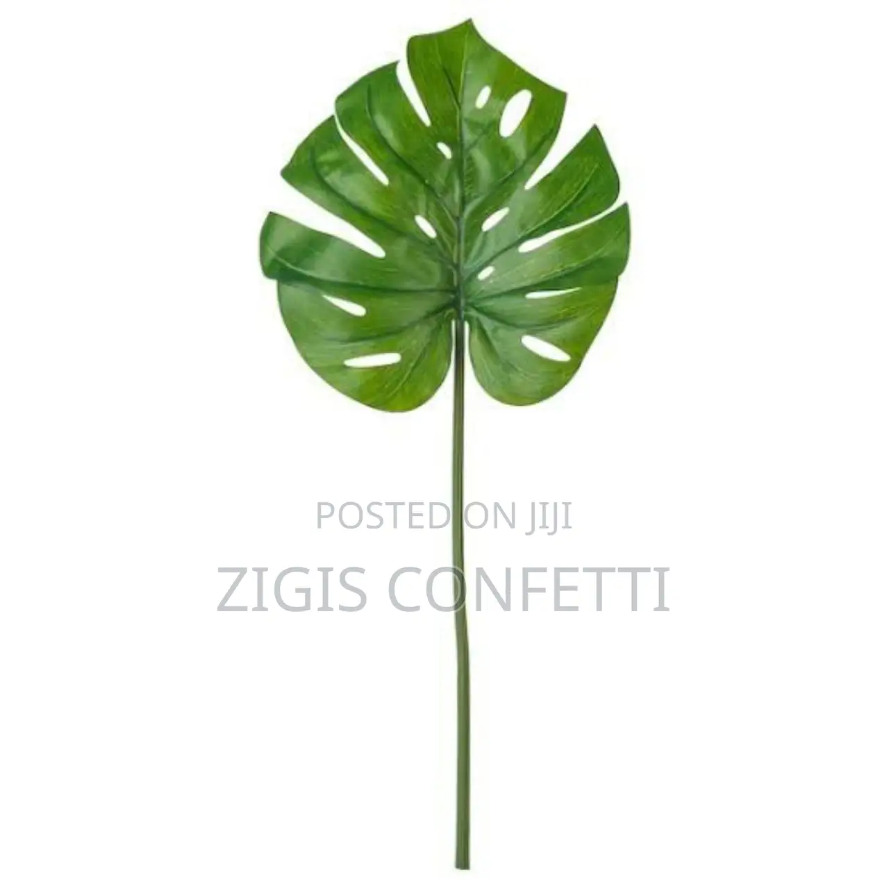 Artificial Turtle Back Leaf Pack - Home Decor