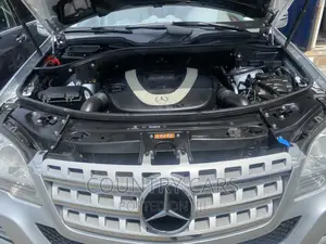 Mercedes-Benz M Class ML350 AWD 4MATIC 2009 Silver