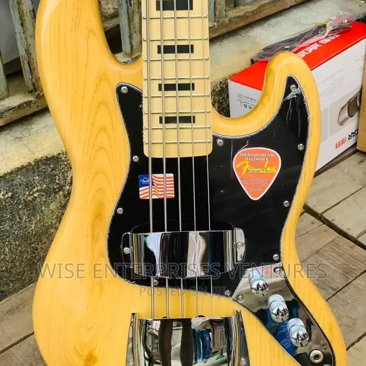 Fender Bass Guitar