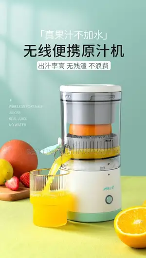 Rechargeable Fruits Juicer Blender