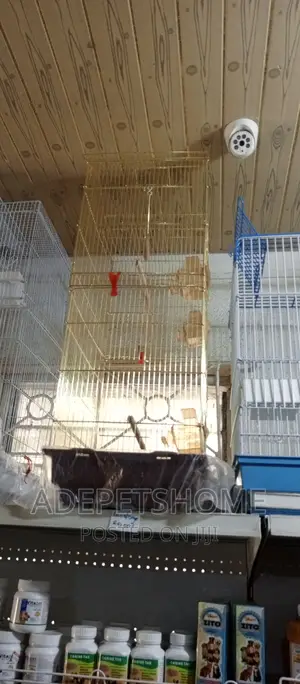 Beautiful Golden Cages for Birds