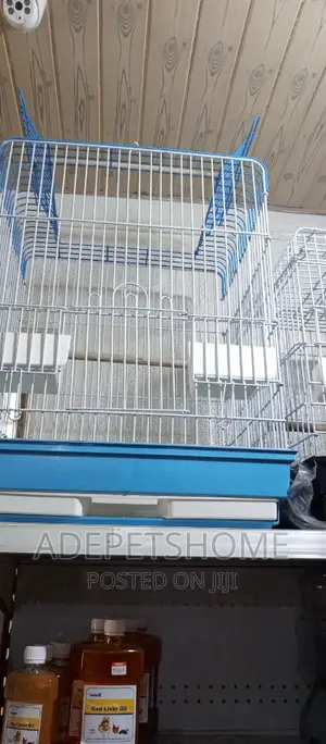 Big Cage for Parrots