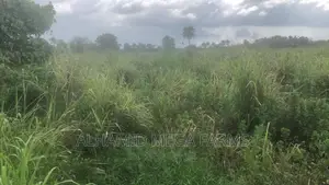 400 Acres of Farmland for Sale at 140,000 Per Acre