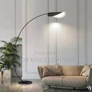 Modern LED Floor Lamp Black Parabola Floor Light